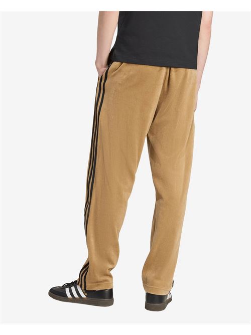 sst tp ADIDAS ORIGINAL | JX1556CARDBO